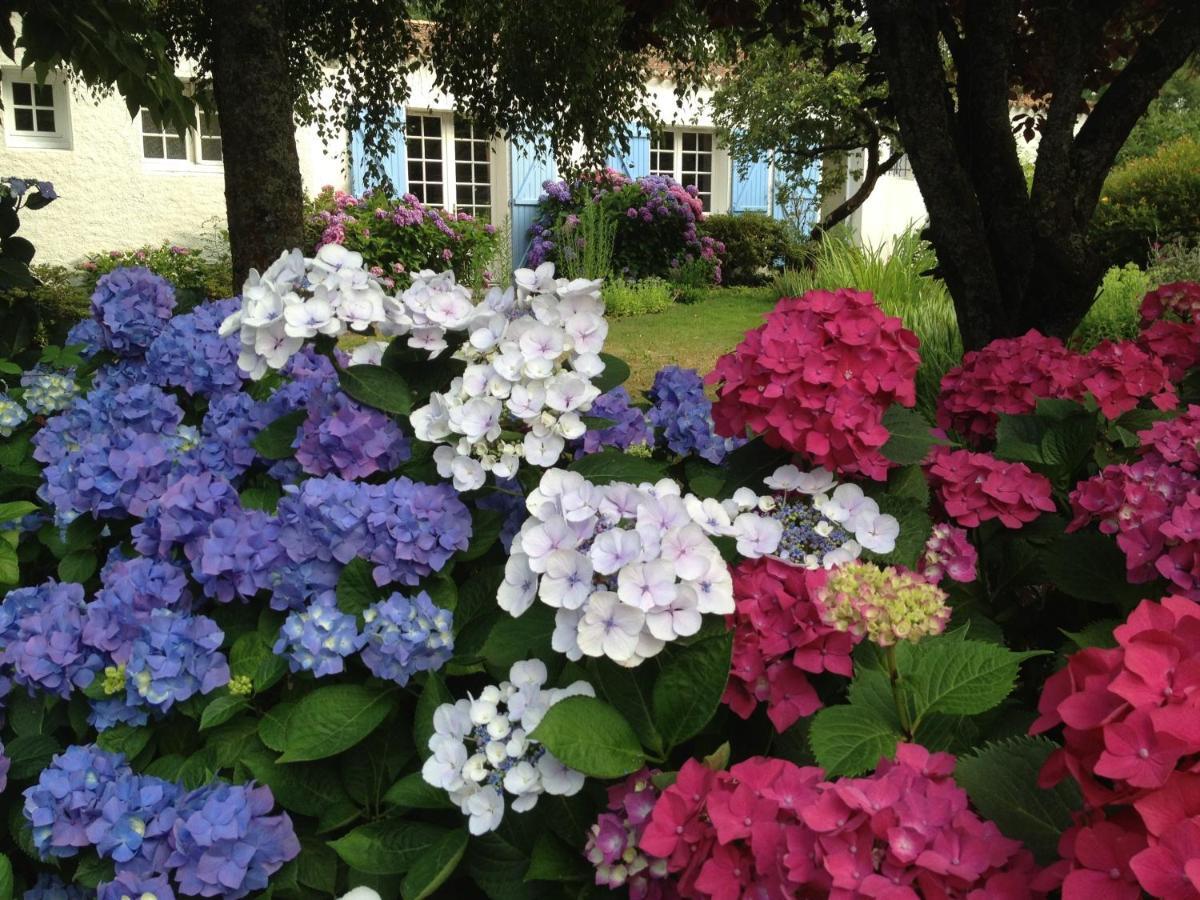 La Caillerie Bed & Breakfast Chauve Exterior photo